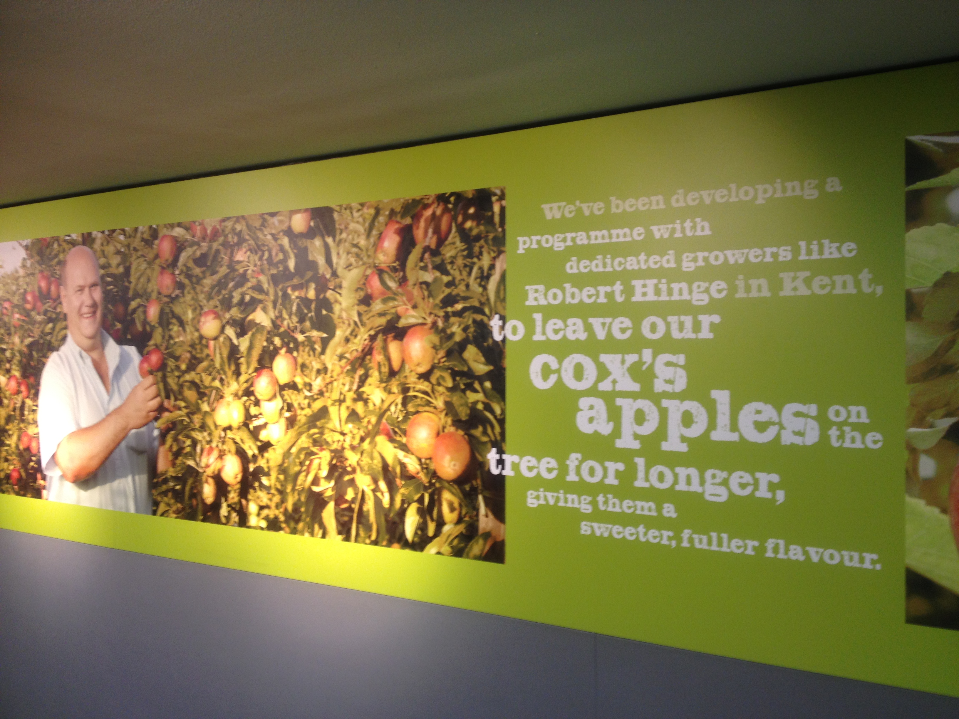 A photo of a poster advertising Marks and Spencer cox's apples