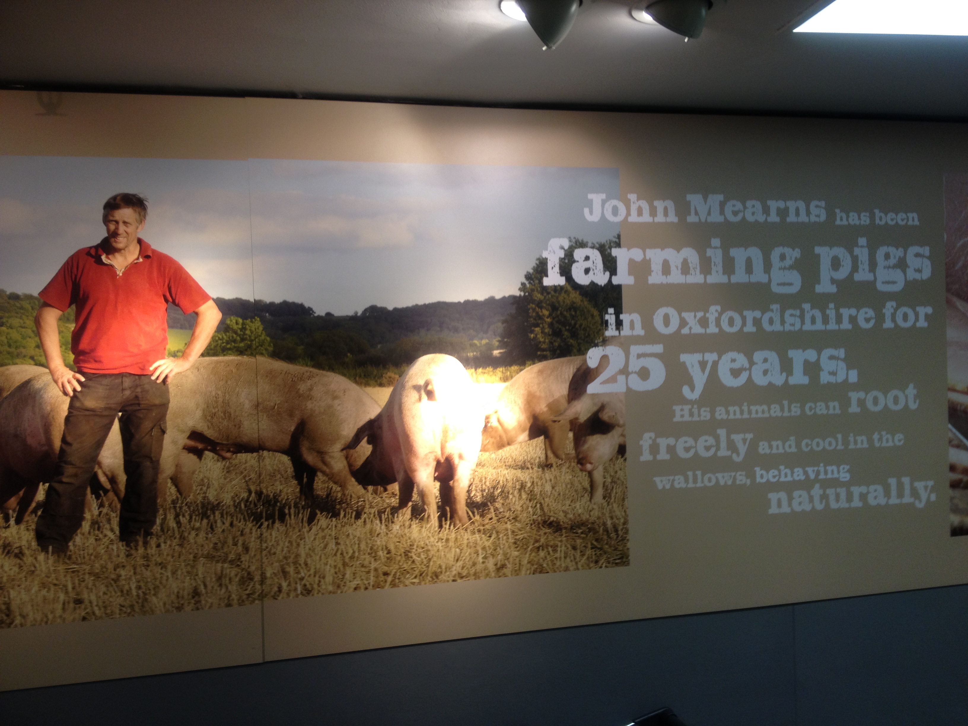 A photo of an advertisement for Marks and Spencer pig products