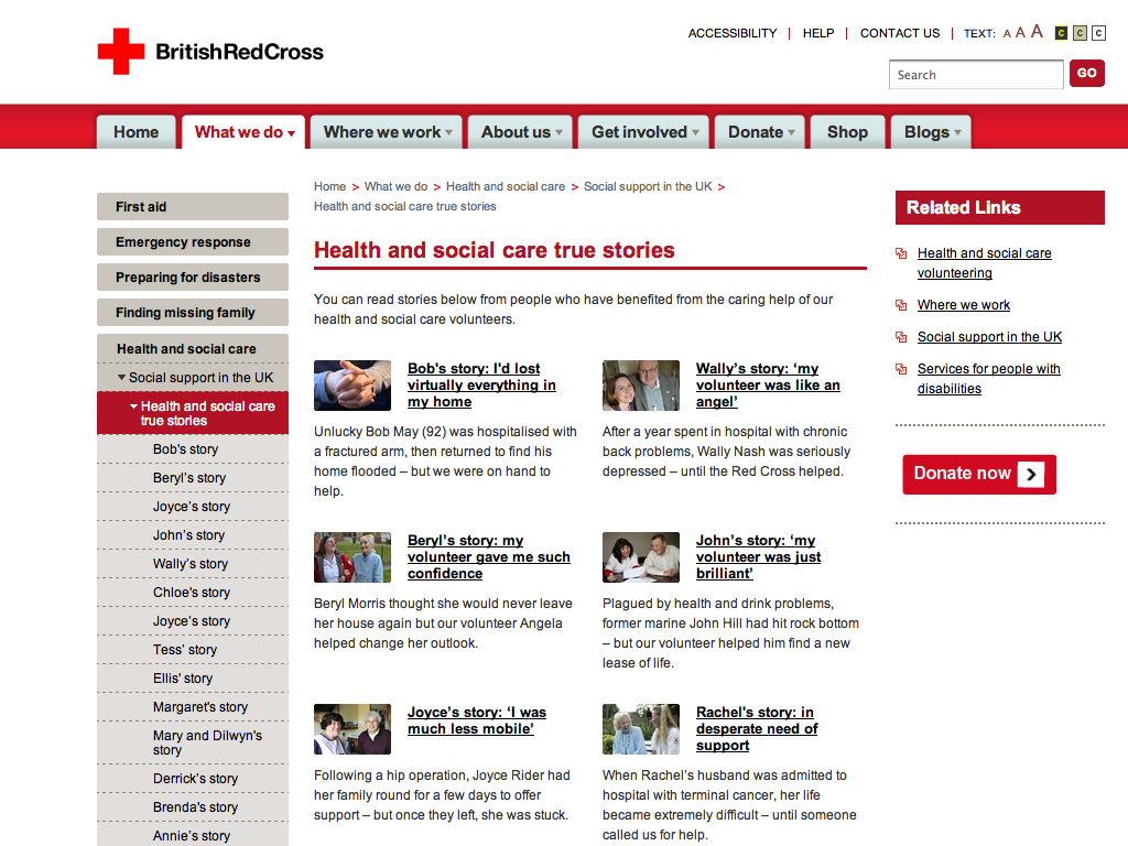 Screengrab of the Red Cross Social Care True Stories page